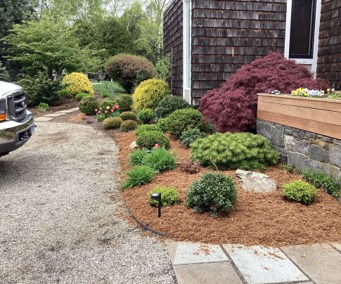 Planting design & Mulch